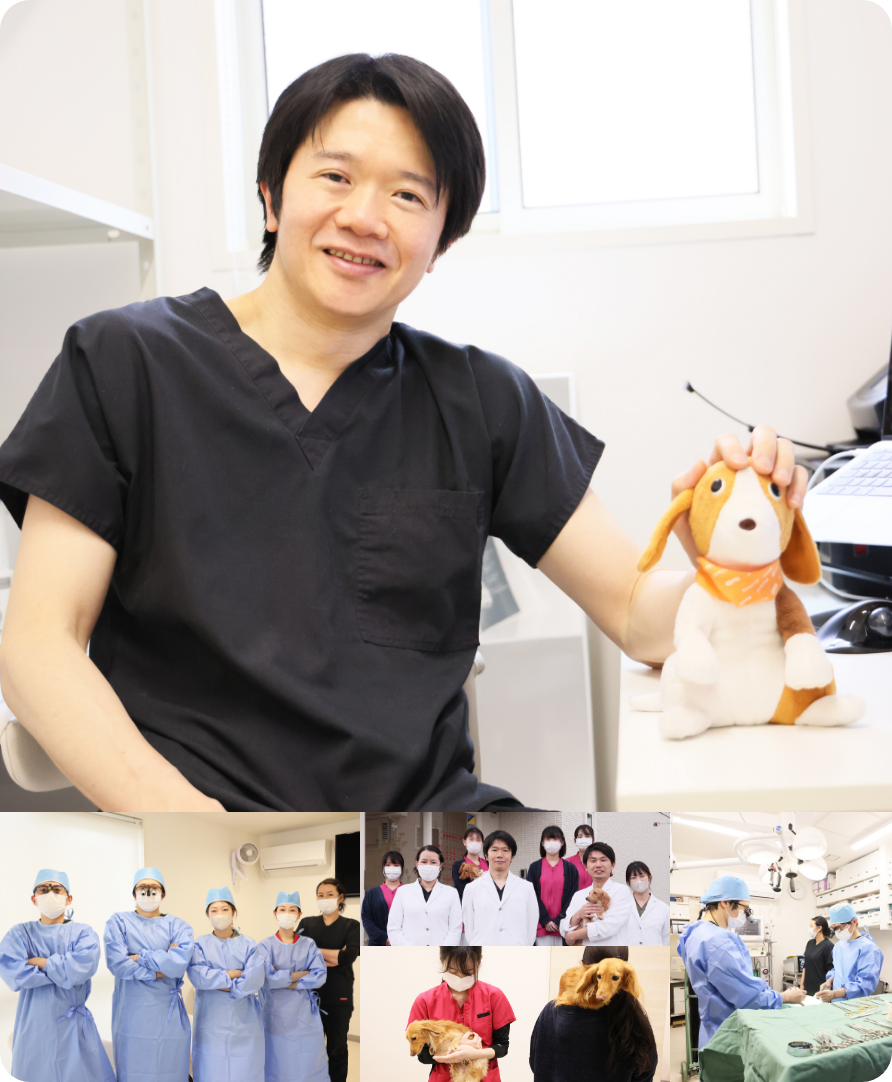 患者様の期待以上を目指して、幅広い診療を滋賀県内から県外まで