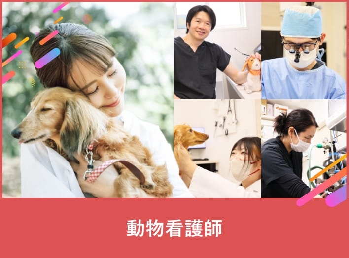 動物看護師