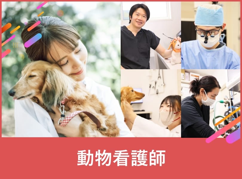 動物看護師